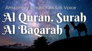 Amazingly Smooth As Silk Voice | Al Quran  Surah Al Baqarah #2023