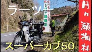 【ｽｰﾊﾟｰｶﾌﾞ50】月ヶ瀬梅林ラーツーしてみた