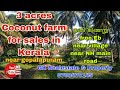 3 acres Coconutfarm for sales in Kerala near gopalapuram