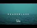 Meadowlark - Oxygen [Pablo's Official]