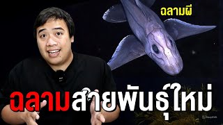 สัตว์สายพันธุ์ใหม่ ที่เพิ่งเกิดขึ้นมาไม่นาน ( มีฉลามด้วย )