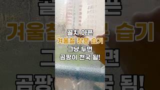 창문습기 제거 방법 창문 결로 방지법