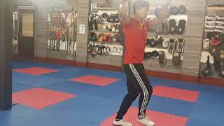 Choi Li Fut Da dao  蔡李佛抗日大刀