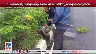 ദേശീയപാതയില്‍ പരുക്കേറ്റ് കിടന്ന ആണ്‍മയിലിന് പൊലീസുകാരുടെ കരുതല്‍​|Palakkad|Peacock