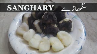 Tasty Sanghary | مزیدار سنگھاڑے