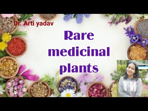 What is the rarest medicinal herb?