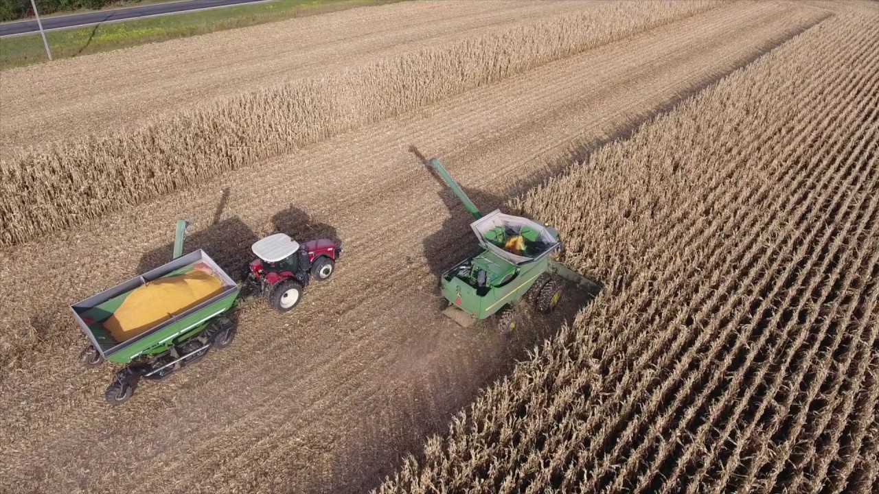 Double B Corn Harvest 2016 - YouTube