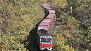 2021.10.09 撮影　紅葉 常紋峠　石北貨物 玉ねぎ列車　☆北鉄路漫825