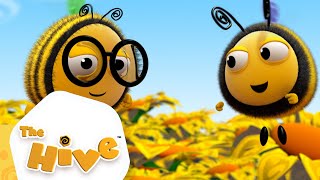 Sporty Bee | The Hive Full Episodes | The Hive Official