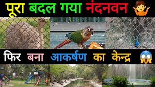 Nandanvan || नंदनवन || Raipur || Traveler Nikhil