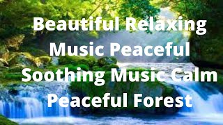 Beautiful Relaxing Music for Stress Relief • Peaceful Piano Music, Sleep Music, Ambient Study Music.
