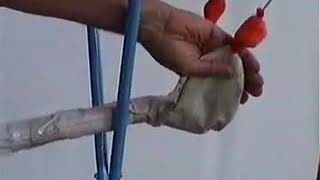 Rectal palpation in mare