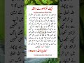 ایک خوبصورت واقعہ trending islamicquotes urduquotes allah islamic ytshorts shorts