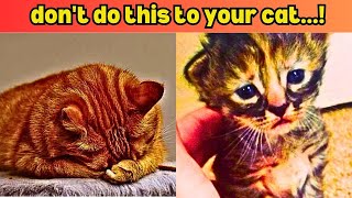 don't do this to your cat...!
