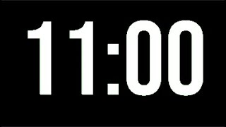 11 Minute Timer - 660 Seconds Countdown