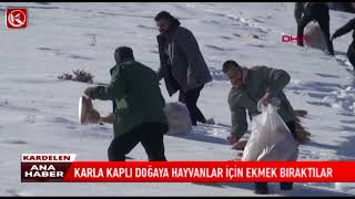 Kardelen TV | KARLA KAPLI DOĞAYA HAYVANLAR İÇİN EKMEK BIRAKTILAR