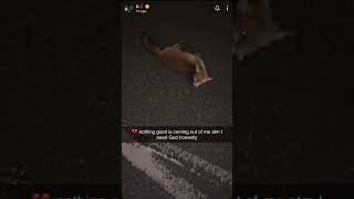 DoRoad (#9) hits a fox with car