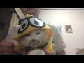 ショボ顔猫のチコタン、youtubeデビュー！ミニオンズバージョンでつ。奥目が2つのまんまる目が2つ。