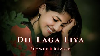 Dil Laga Liya [ Slowed + Reverb ] UditNarayan | Alka Yagnik | Old HindiSong | @-9music