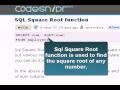 MySQL Tutorial : square root command