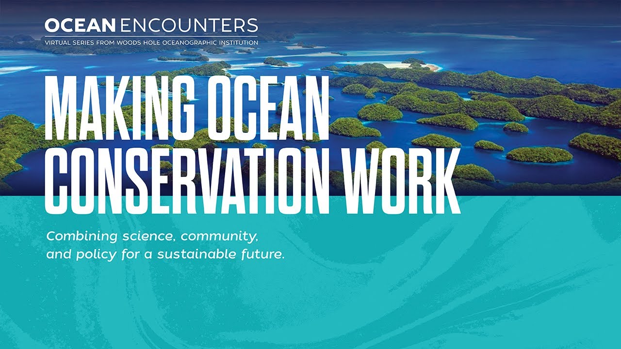 Ocean Encounters Making Ocean Conservation Work Youtube