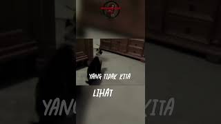 Ketika Kucing Melihat Hantu