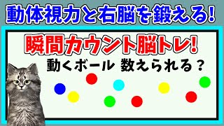 【脳トレ】右脳を鍛えるトレーニング！瞬間カウントクイズ！全５問！