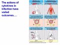 lecture 6 prrs nlrp3 inflammasome and cytokines