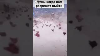 Карантин закончился ура )