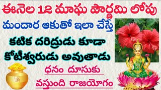 ఈనెల 12మాఘ పౌర్ణమిలోపు మందార ఆకుతో ఇలా చేస్తే కటిక దరిద్రుడు కూడా కోటీశ్వరుడు అవుతాడు