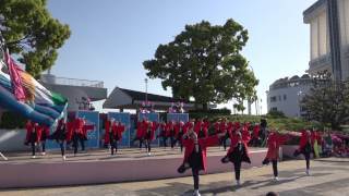 國士舞双（よさこい夢まつり2015）本祭二日目④