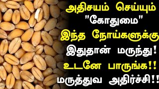 கோதுமை மருத்துவ நன்மைகள்!! | Kothumai Benefits in Tamil| Wheat Health Tips in Tamil