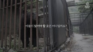 [프로젝트엠X곰 보금자리 프로젝트] 사육곰 보호 문베어 캠페인🐻