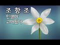 playlist 조항조 인생아고마웠다 노래가사 3회반복 힐링음악 혼자듣기좋은노래 드라이브음악 7080음악