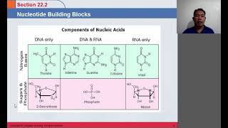 Nucleic acid part1