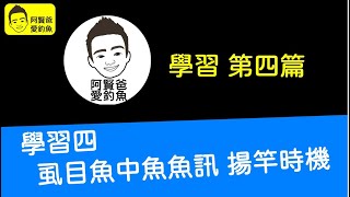 【阿賢爸】愛釣魚 (學習四) 虱目魚中魚魚訊 揚竿時機  (大咬釣組金珠釣法珠鉤釣法)