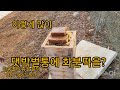 토종벌 깨우기. . 진생의 방법 입니다