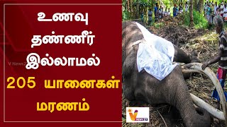 உணவு தண்ணீர் இல்லாமல் 205 யானைகள் மரணம் | Africa | Elephants Died Without Food And Water