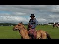 horse racing day in mongolia naadam festival