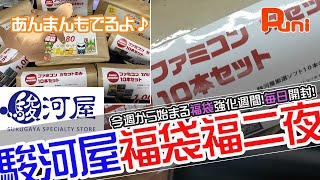 【2022年 福袋】福袋開封強化週間 福二夜 ファミコン編！駿河屋で大量販売されていたのでいっぱいかってきたぞ！【駿河屋・あんまん・ジャンク・フェレット】