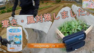 寒さ対策と風よけに不織布べた掛け