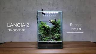 ZETLIGHT LANCIA2 LED Light for Paludarium/ ゼットライト・ランシア2　タイムスケージュールデモ　パルダリウム・ビバリウムにお勧めのLED照明