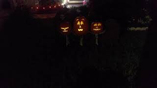 Singing Pumpkins Ghostbusters