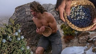 Harvesting Juniper Berries in Freezing Cold Desert