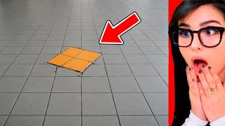 People Who Got Themselves Into Trouble Sssniperwolf