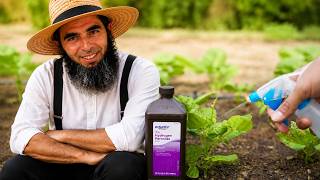 5 BENEFITS of Hydrogen Peroxide on Plants and Garden... The Old Trick Modern Gardeners FORGOT