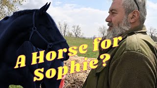 We Think We Got Sophie A Horse!