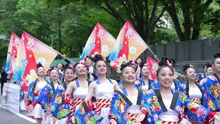 2023 YOSAKOIソーラン祭り コカ·コーラ札幌国際大学