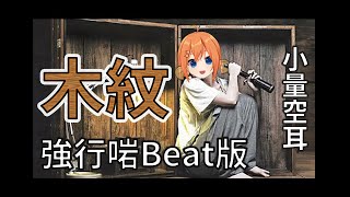 木紋(強行啱Beat鳩戟版) covered BY  水澄のぞみ (空耳字幕)【香港Vtuber精華】【水澄のぞみ/HKVtuber】