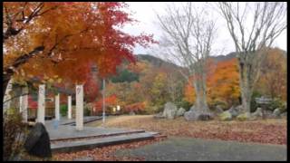 天理ダムのそばの小さな公園の紅葉